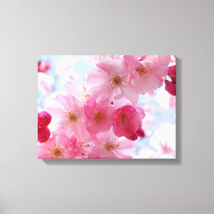 Rosa Frühlingsblüten floral Leinwanddruck