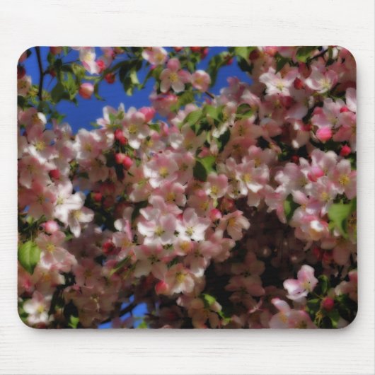 Rosa Frühlingsblüten florale Kunst Mousepad (Vorne)