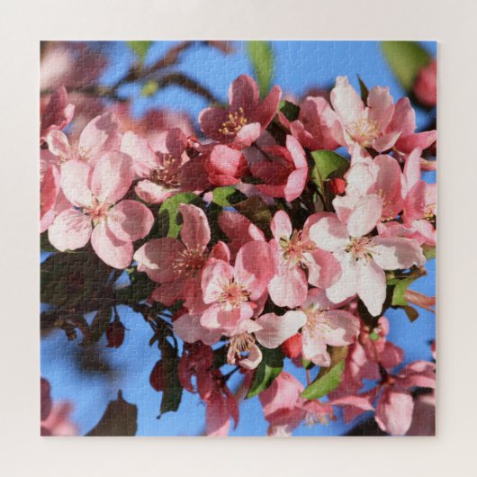 Rosa Frühlingsblüten mit blauem Himmel Puzzle (Horizontal)