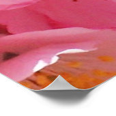 Rosa Frühlingsblüten Poster (Ecke)