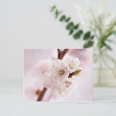Rosa Frühlingsblüten Postkarte (Stehend Vorderseite)