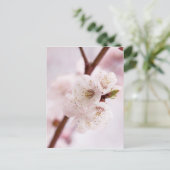 Rosa Frühlingsblüten Postkarte (Stehend Vorderseite)