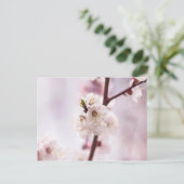 Rosa Frühlingsblüten Postkarte (Stehend Vorderseite)