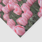 Rosa Frühlingshuppe Blume Seidenpapier (Ausschnitt)