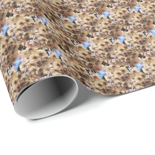 Rosa Frühlingssonne Blume blüht Natur Kunstmuster Geschenkpapier (Rolleneckpunkt)