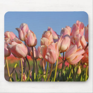 Rosa Frühlingtulis Mousepad