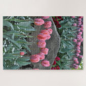 Rosa Frühlingtulis Puzzle (Horizontal)