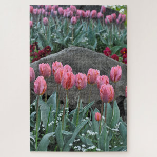 Rosa Frühlingtulis Puzzle