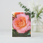 Rosa Fruit Postkarte (Stehend Vorderseite)