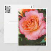 Rosa Fruit Postkarte (Vorne/Hinten)