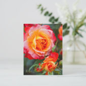 Rosa Fruit [Postkarte] Postkarte (Stehend Vorderseite)