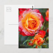 Rosa Fruit [Postkarte] Postkarte (Vorne/Hinten)