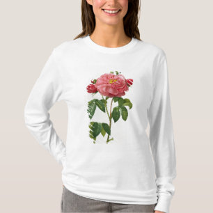 Rosa Gallica Aurelianensis T-Shirt