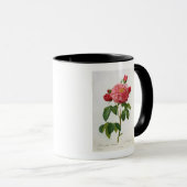 Rosa Gallica Aurelianensis Tasse (VorderseiteRechts)
