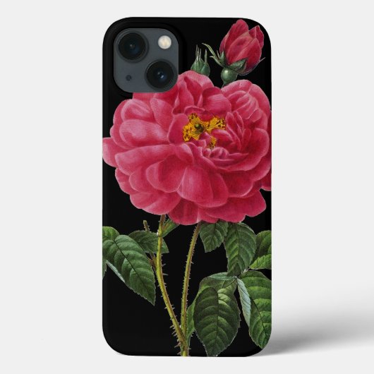 Rosa Gallica Case-Mate iPhone Hülle (Rückseite)