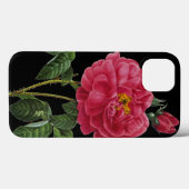 Rosa Gallica Case-Mate iPhone Hülle (Rückseite (Horizontal))