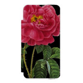 Rosa Gallica Incipio iPhone Geldbeutel-Hülle (Folio Vorderseite)