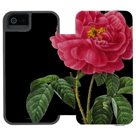 Rosa Gallica Incipio iPhone Geldbeutel-Hülle (Folio Geöffnet)