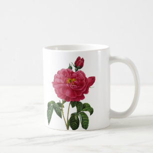 Rosa Gallica Kaffeetasse