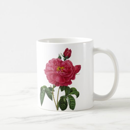 Rosa Gallica Kaffeetasse (Rechts)