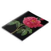 Rosa Gallica Notizblock (Linke Seite)