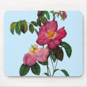 Rosa gallica,Pierre Joseph Redouté Mousepad