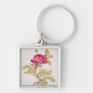 Rosa Gallica Pontiana, von 'Les Rosen Schlüsselanhänger