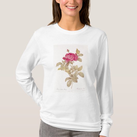 Rosa Gallica Pontiana, von 'Les Rosen T-Shirt (Vorderseite)