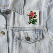 Rosa Gallica Regallis Button (Beispiel)