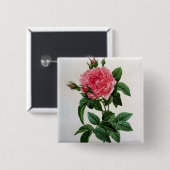 Rosa Gallica Regallis Button (Vorne & Hinten)