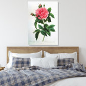 Rosa Gallica Regallis Leinwanddruck (Insitu (Schlafzimmer))