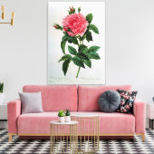 Rosa Gallica Regallis Leinwanddruck (Insitu (Wohnzimmer))