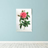 Rosa Gallica Regallis Leinwanddruck (Insitu (Holzboden))