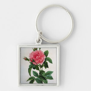 Rosa Gallica Regallis Schlüsselanhänger
