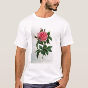 Rosa Gallica Regallis T-Shirt