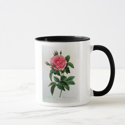 Rosa Gallica Regallis Tasse (Rechts)