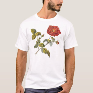 Rosa Gallica Schöne Rote Antique Rose Vintag T-Shirt