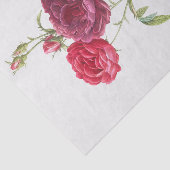 Rosa Gallica Seidenpapier (Ausschnitt)