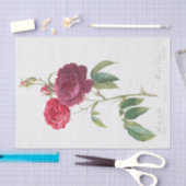 Rosa Gallica Seidenpapier (Handwerk)