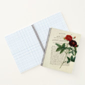 Rosa gallica Van Eeden Gardener Notizblock (Innenseite)