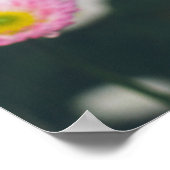 Rosa Gänse und Stiefmütterchen im Grünen Poster (Ecke)