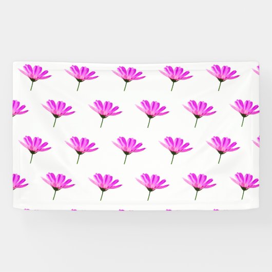 Rosa Gänseblümchen Banner (Horizontal)