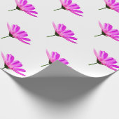 Rosa Gänseblümchen Geschenkpapier (Ecke)