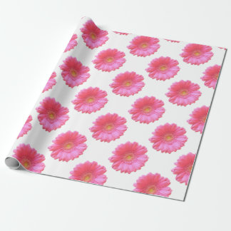 Rosa Gänseblümchen Geschenkpapier