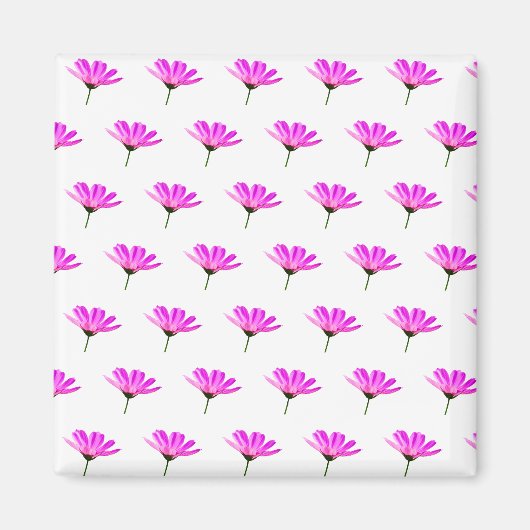 Rosa Gänseblümchen Magnet (Vorne)