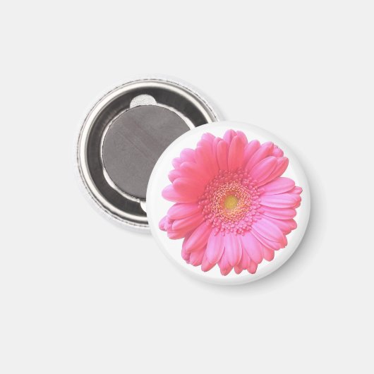 Rosa Gänseblümchen Magnet (Vorderseite/Rückseite)