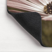Rosa Gänseblümchen Makro Mousepad (Ecke)