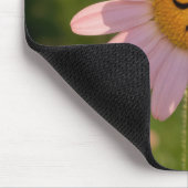 Rosa Gänseblümchen mit Tränen Mousepad (Ecke)