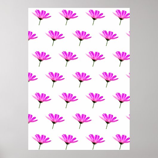Rosa Gänseblümchen Poster (Vorne)