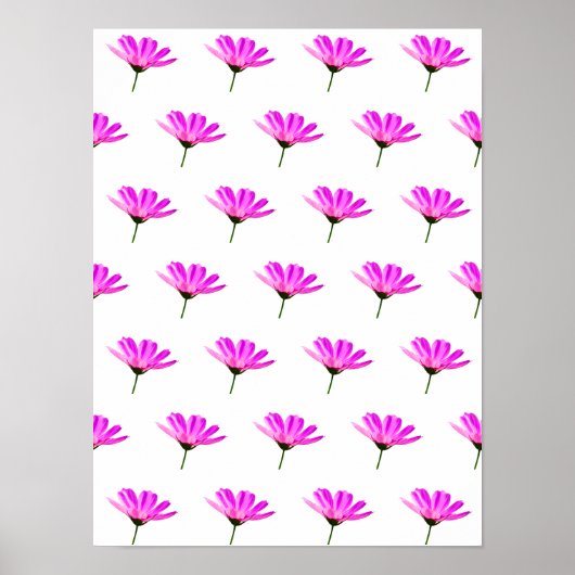 Rosa Gänseblümchen Poster (Vorne)
